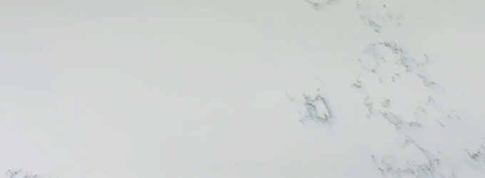 Carrara White