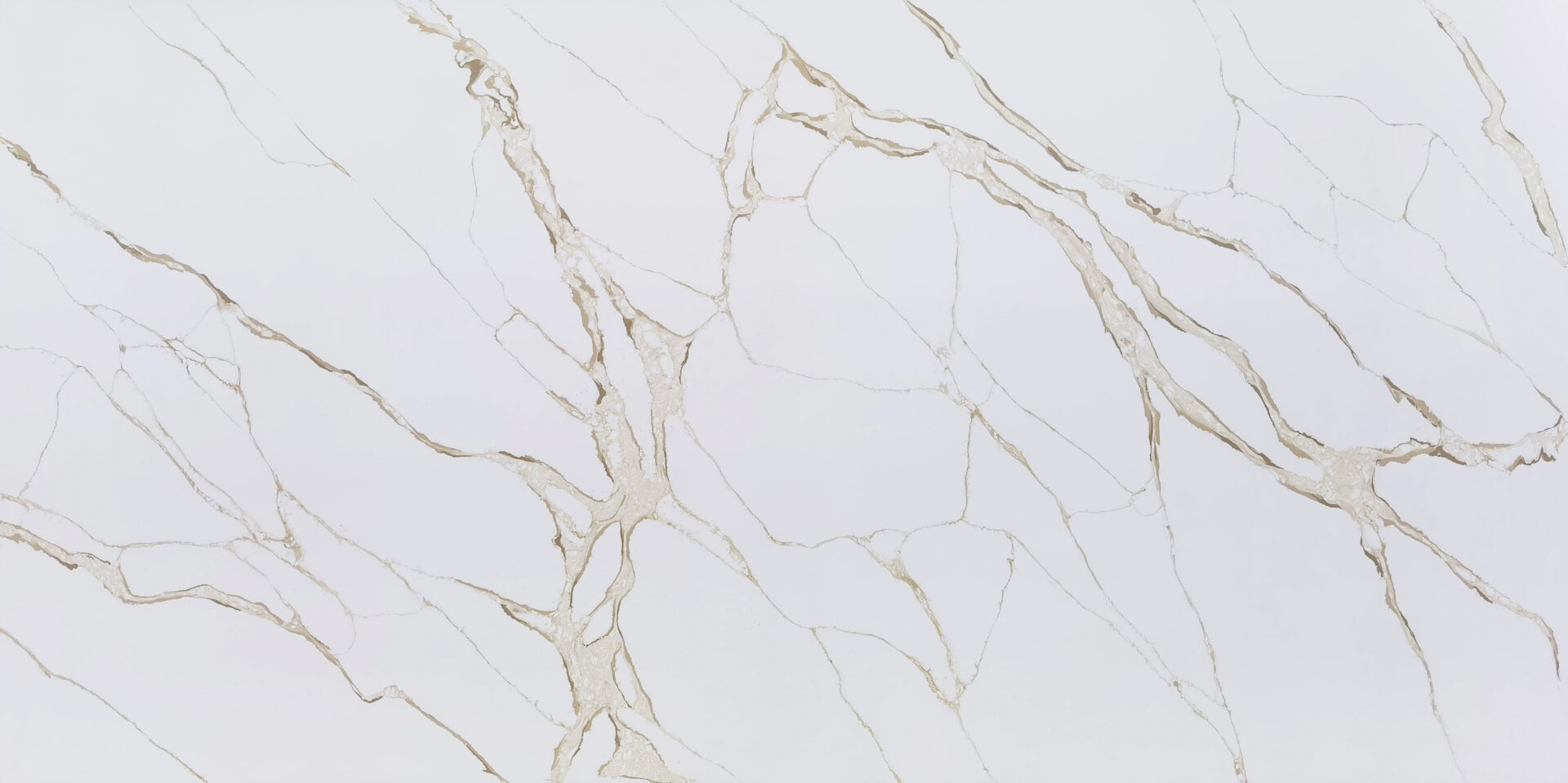 Calacatta Imperiale Polished