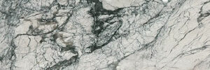 Statuario Quartzite Countertop