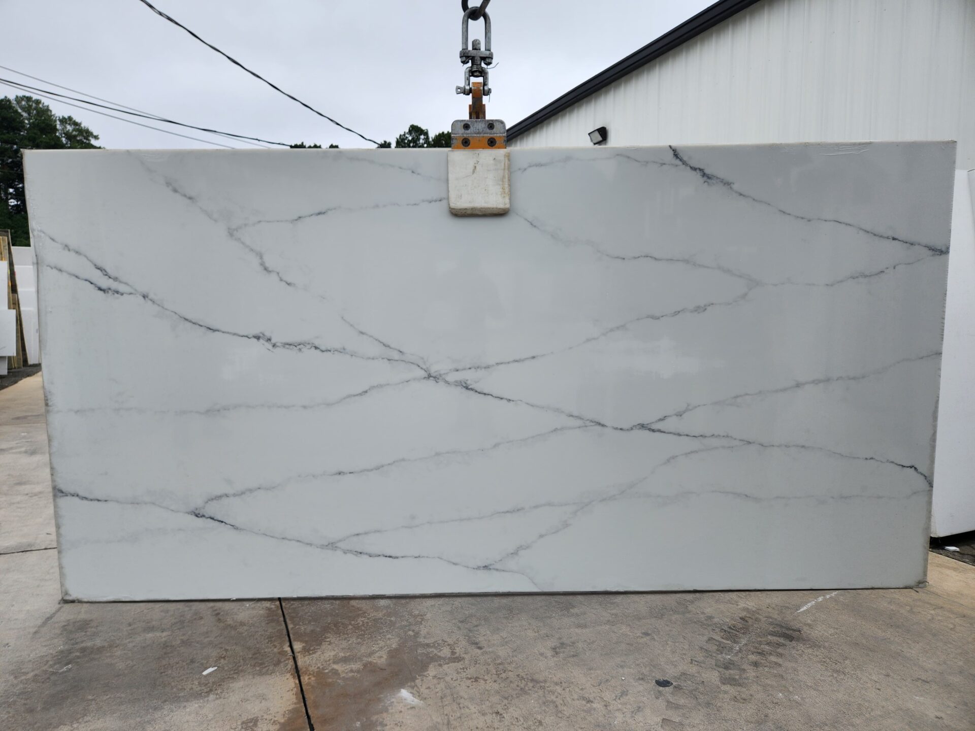 Calacatta Palermo Polished