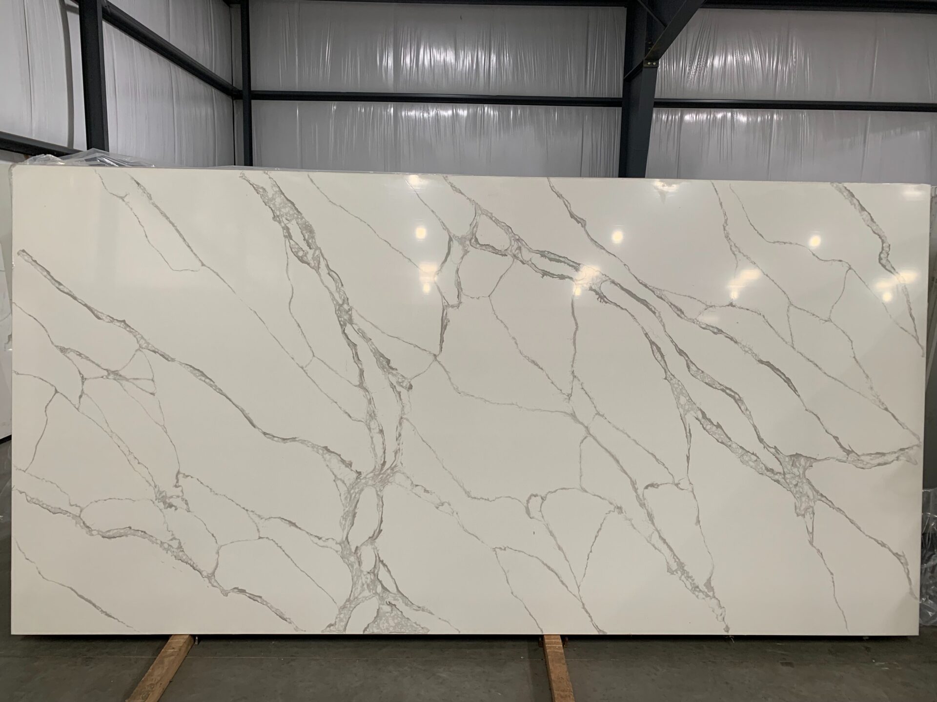 Calacatta Regal Polished